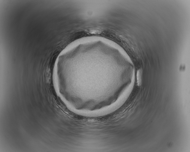 X0000097601443200803211648