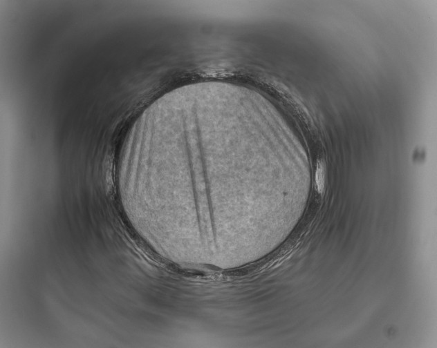 X0000097601444200803211648