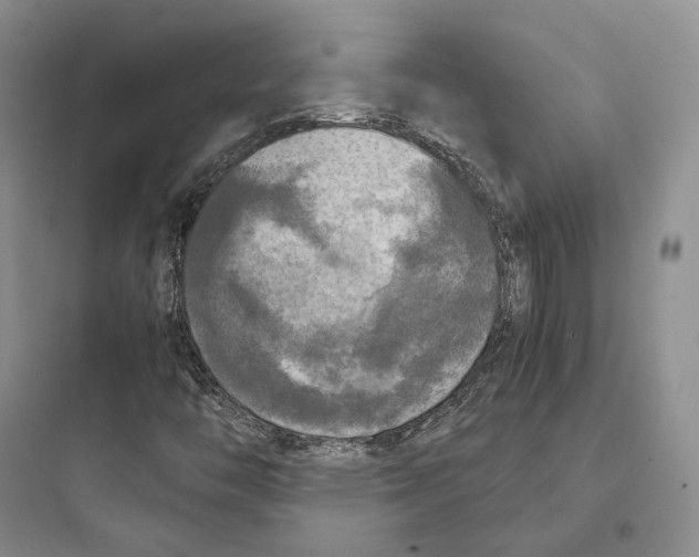 X0000097601446200803211648