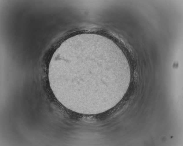 X0000097601447200803211648