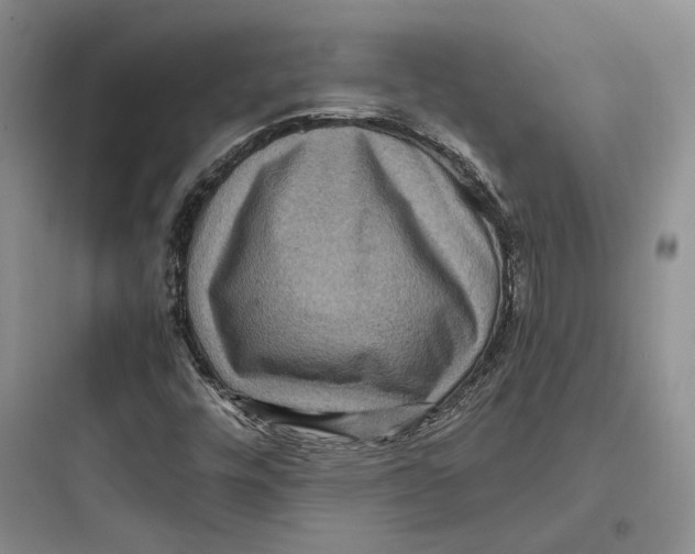 X0000097601448200803211648
