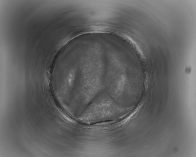 X0000097601449200803211648