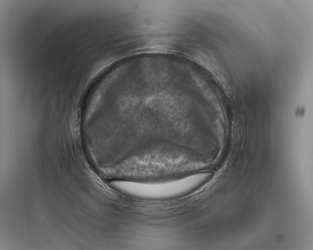 X0000097601450200803211648