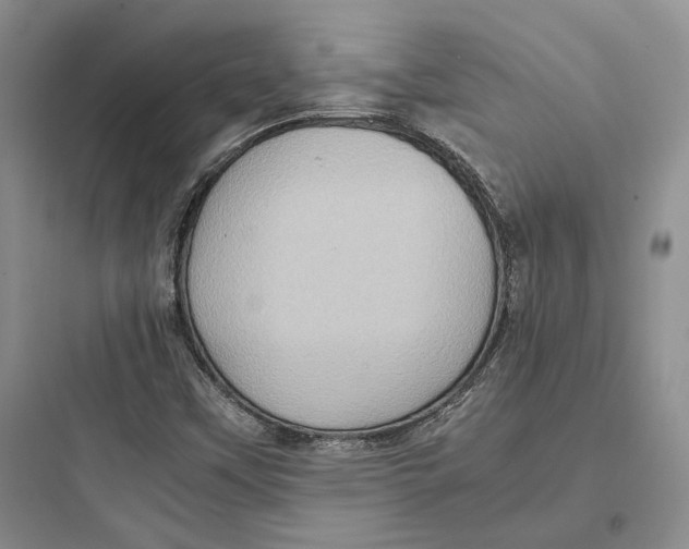 X0000097601451200803211648