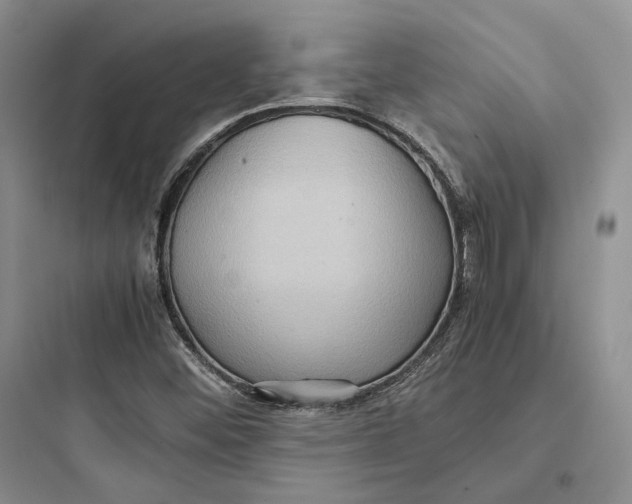 X0000097601452200803211648