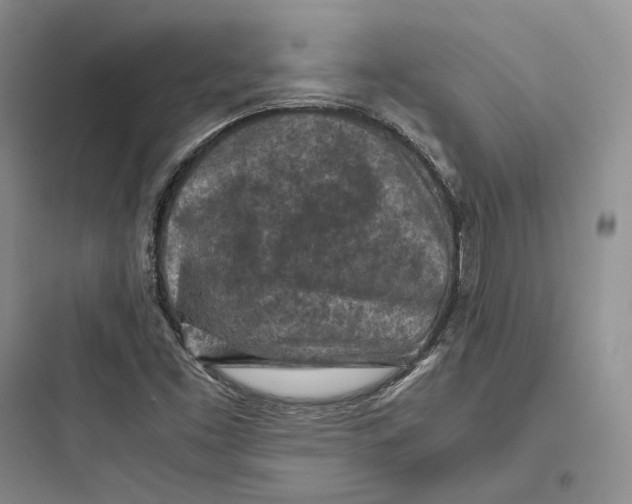 X0000097601453200803211648