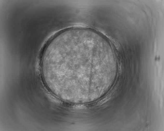 X0000097601454200803211648