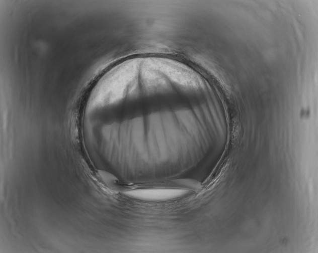 X0000097601455200803211648