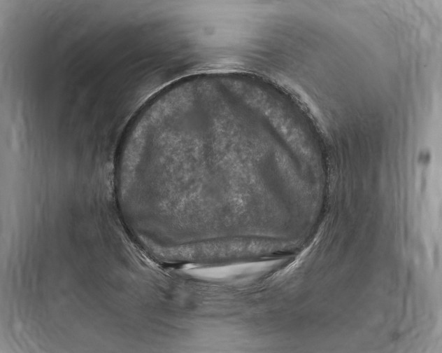 X0000097601457200803211648