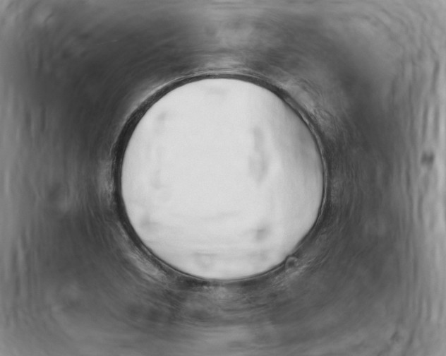 X0000097601458200803211648