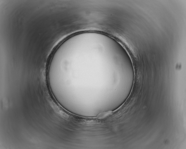 X0000097601460200803211648