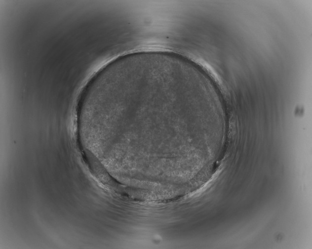 X0000097601461200803211648