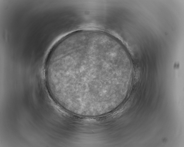 X0000097601462200803211648