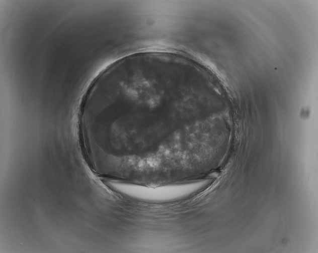 X0000097601463200803211648