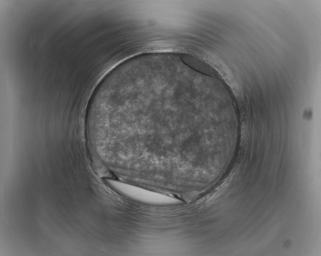 X0000097601465200803211648