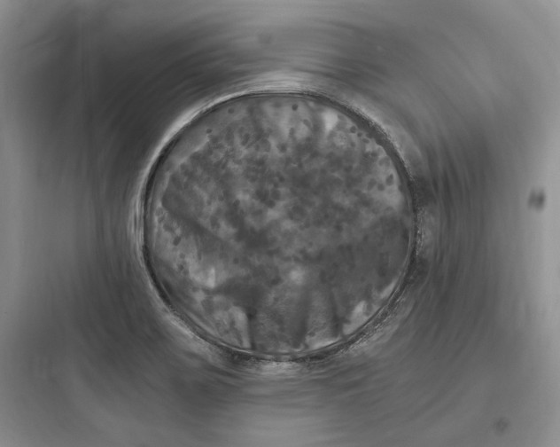 X0000097601467200803211648