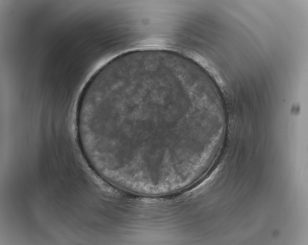 X0000097601469200803211648