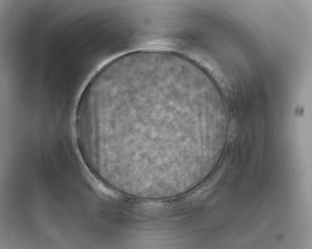 X0000097601470200803211648