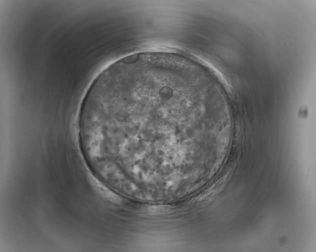 X0000097601471200803211648