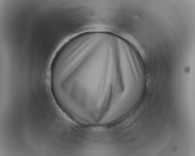 X0000097601472200803211648