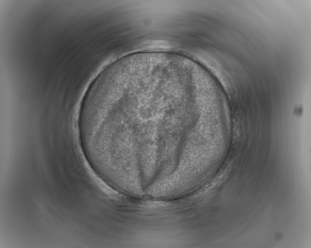 X0000097601475200803211648