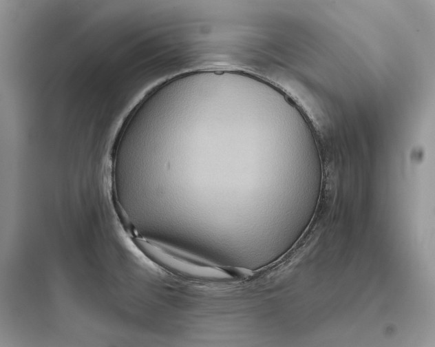 X0000097601476200803211648