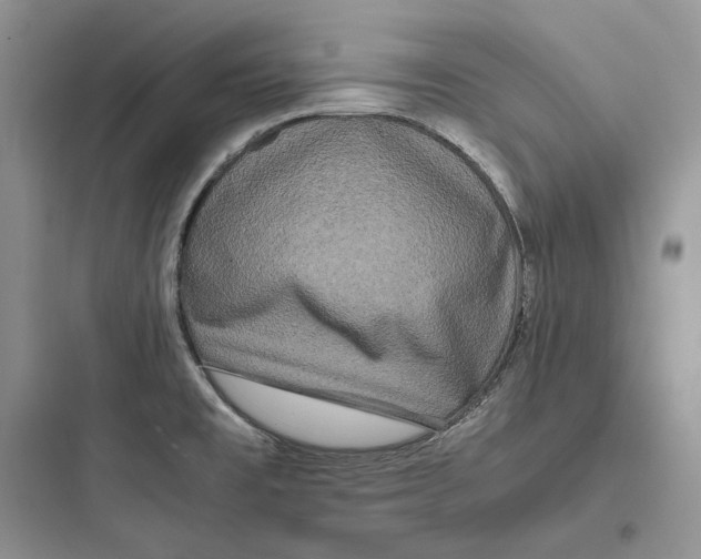X0000097601477200803211648