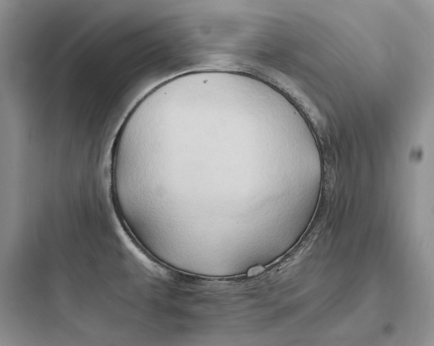 X0000097601479200803211648