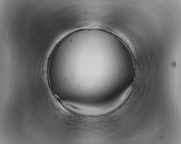 X0000097601480200803211648