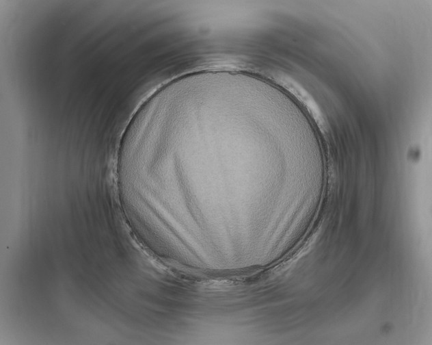 X0000097601481200803211648