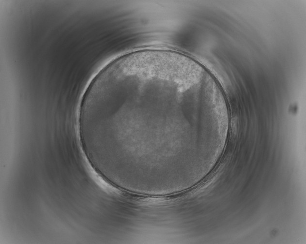 X0000097601482200803211648