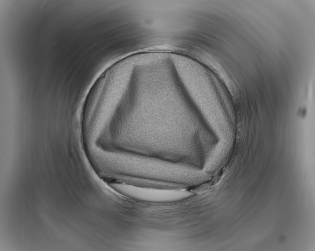 X0000097601483200803211648