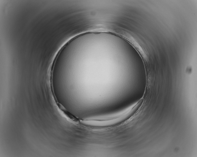 X0000097601484200803211648