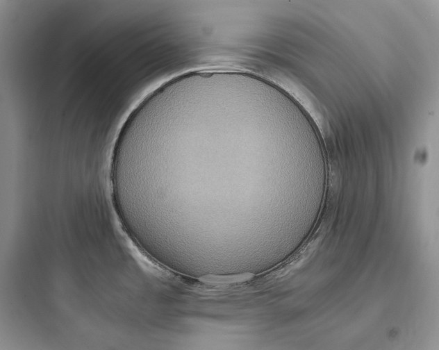 X0000097601485200803211648