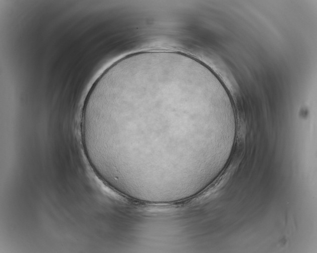 X0000097601486200803211648