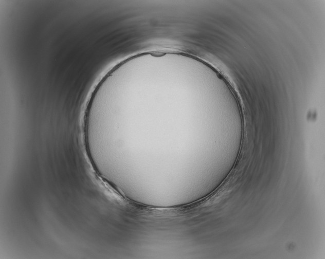 X0000097601488200803211648