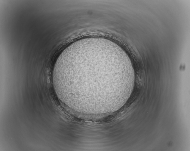 X0000097601490200803211647