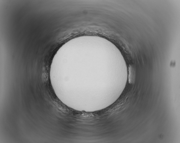 X0000097601491200803211647