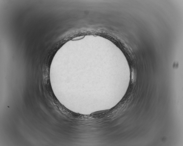 X0000097601492200803211647