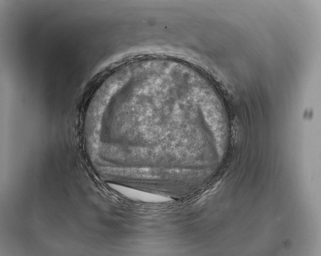X0000097601494200803211647