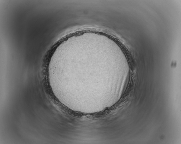 X0000097601496200803211647