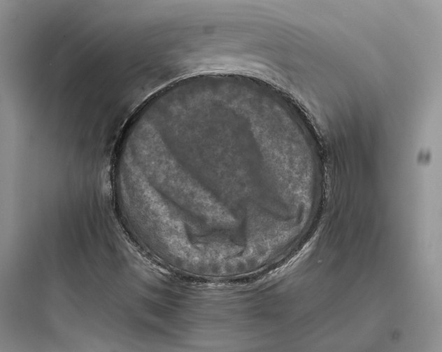 X0000097601497200803211647