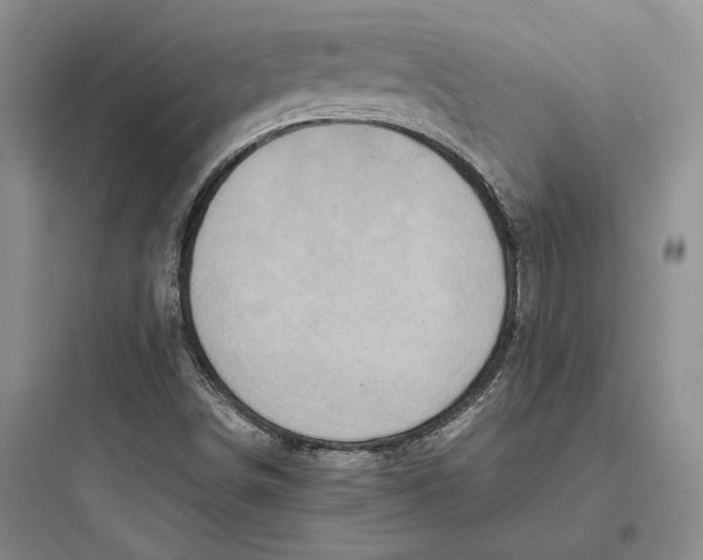 X0000097601498200803211647