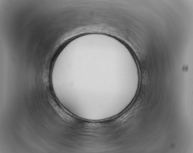 X0000097601499200803211647