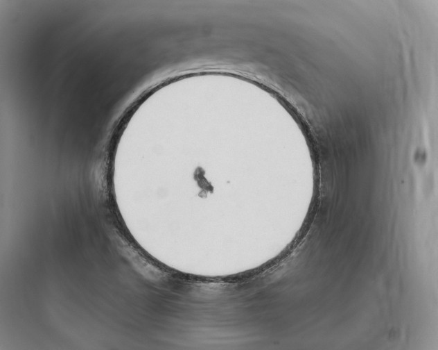 X0000097601502200803211647