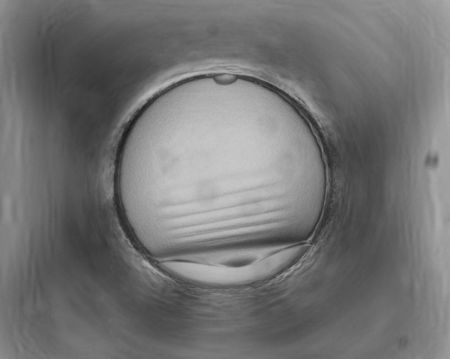 X0000097601504200803211647