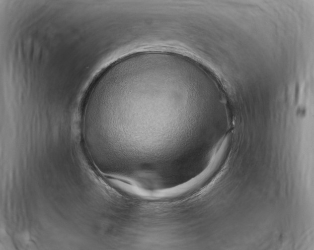 X0000097601506200803211647