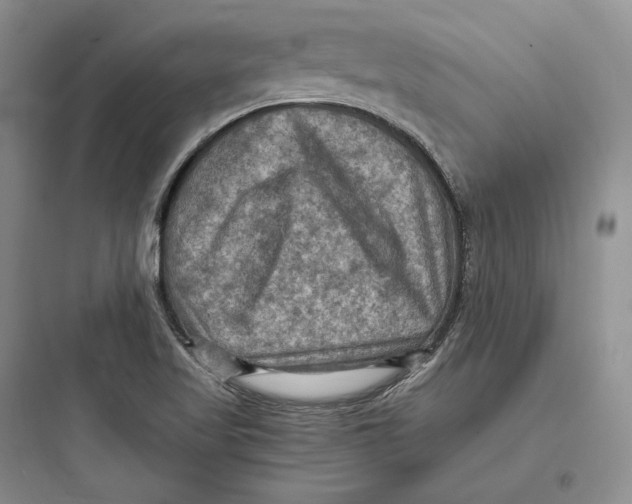 X0000097601509200803211647