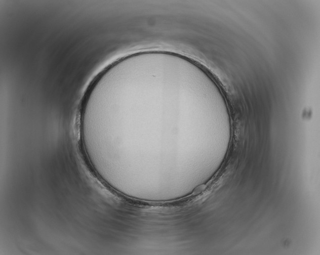 X0000097601510200803211647