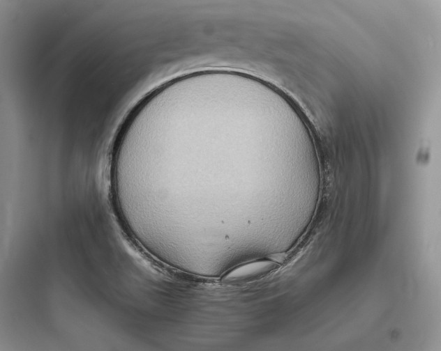 X0000097601511200803211647